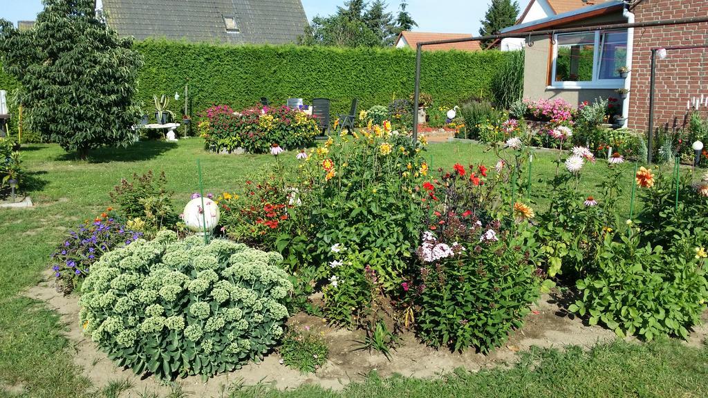 Ferienhaus Storchenweg Mahlzow 외부 사진